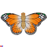 Orange easy-flier - butterfly kite
