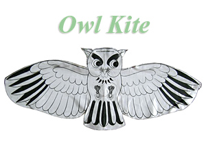 DIY Owl Kite