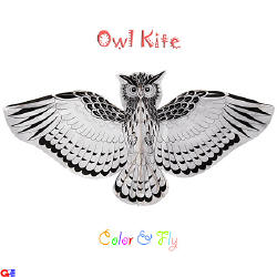 flat owl kite for kids