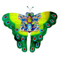 green butterfly kite