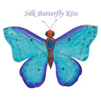 Blue Silk Butterfly Kite