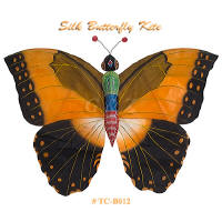 Orange Silk Butterfly Kite