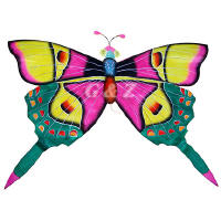 Silk Butterfly Kite - Pink Wings w/Green Tails