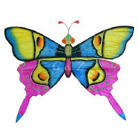 Silk Butterfly Kite