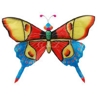 Red/blue rainforest buttefly kites