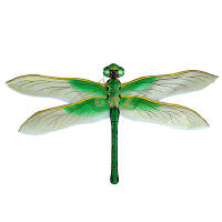Vivid 3D silk dragonfly kite - green