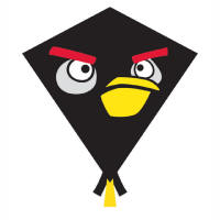 Black Nylon Angry Birds Kites