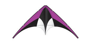 Purple DC Sport Kites