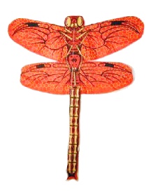 large red nylon kite - dragonfly